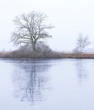 Dwingelderveld - Drenthe (Netherlands) by Marcel Kerdijk