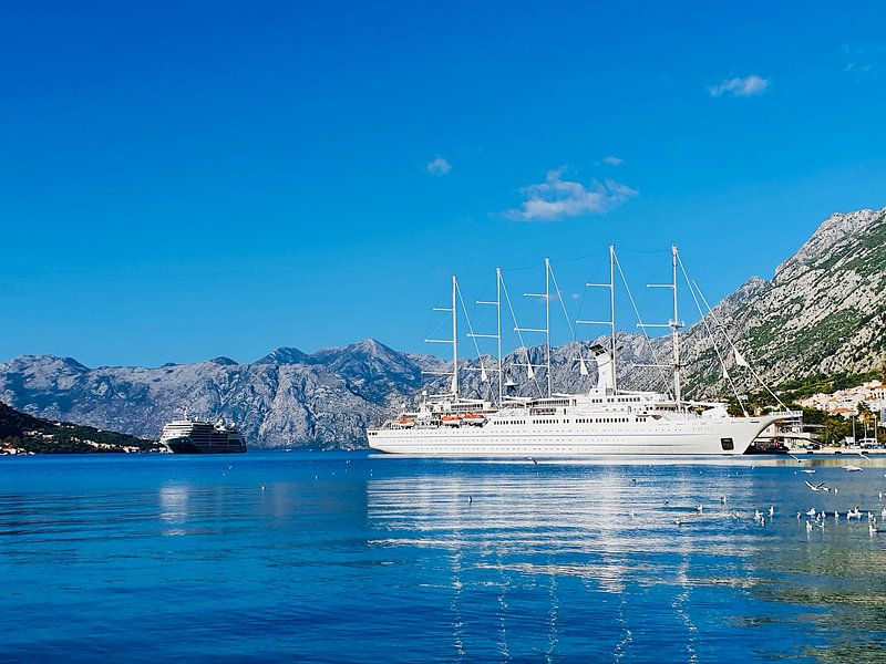 Am Hafen von Kotor von zam art