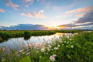 Paysage hollandais au printemps sur Menno van der Haven