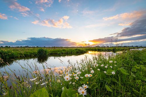 Paysage hollandais au printemps