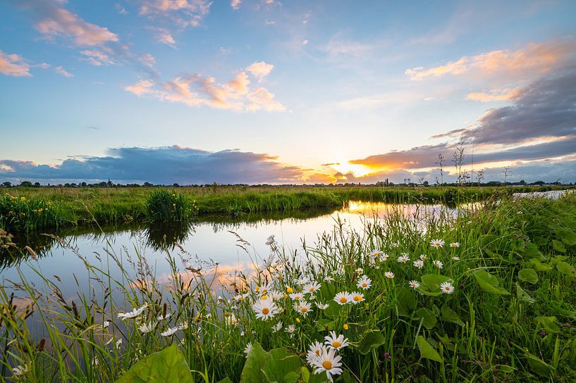 Dutch landscape in spring by Menno van der Haven