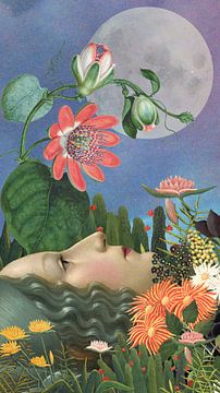 Summer Insomnia van Marja van den Hurk