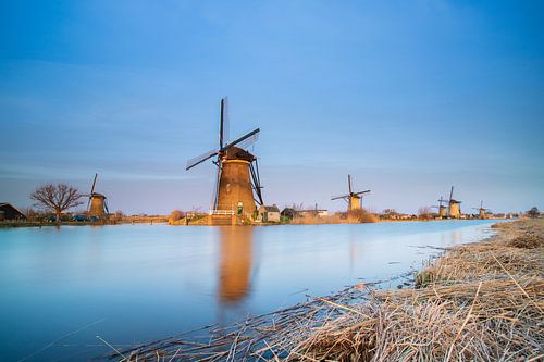 Wereld erfgoed Kinderdijk