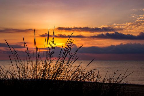 Sunset on the coast - atmospheric photo of sea, beach and evening light