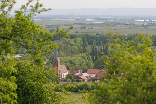 Forst an der Weinstraße