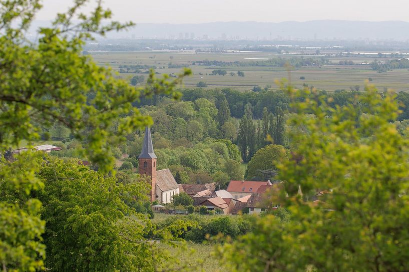 Forst on the Wine Route by Jürgen Hust