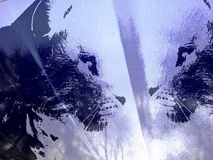 Kattenkunst - Odin 5