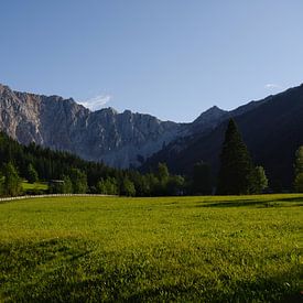 Österreich von seiner besten Seite von Martin Van der Pluym