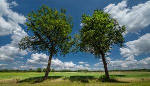 Zomer in Drenthe van Kees van den Burg