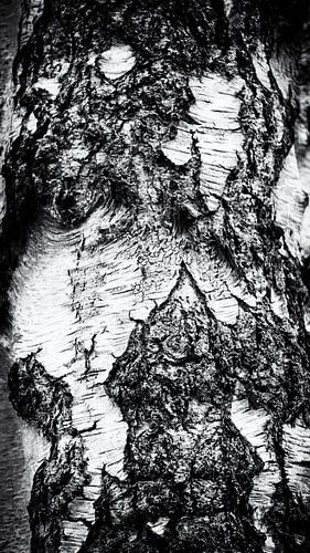 Ba(r)st (abstract, zwart-wit)