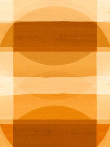 Abstracte organische vormen Zomeroker