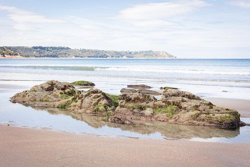 Kustlandschap aan de Atlantische Oceaan | Bretagne