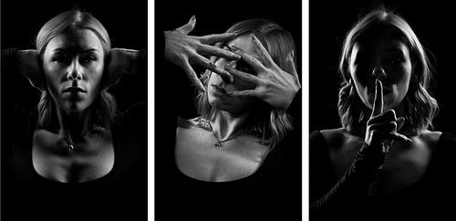 Porträt Hören, Sehen & Stille