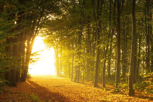 Landgoed Fraeylemaborg - Groningen (Netherlands)