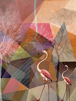 FLAMINGOS P23-C