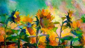 Sommerbild: Sonnenblumen in voller Blüte.