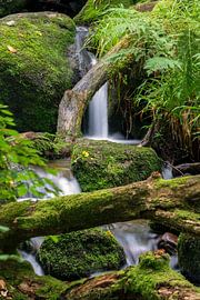 Bachlauf in der Gertelbachschlucht  | Schwarzwald von Flatfield