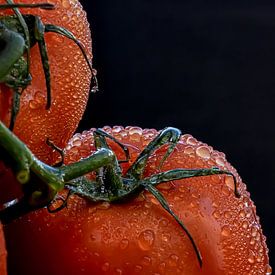 Fresh tomato by Esther van Dijk