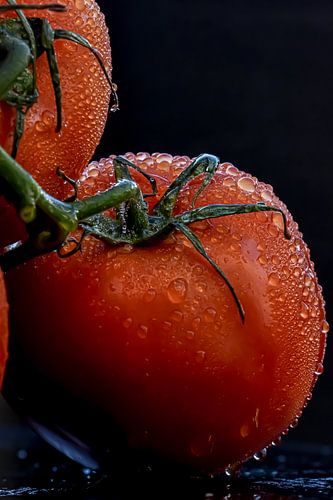 Fresh tomato
