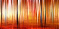 Birch Forest by Violetta Honkisz thumbnail