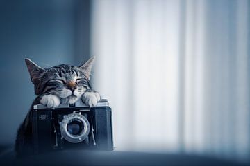 Der kleine Fotograf