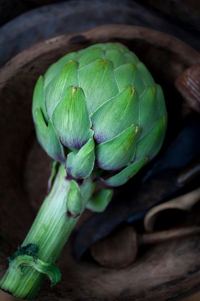 Artichoke by Diane Cruysberghs