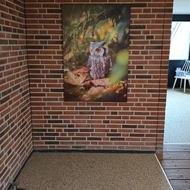 Customer photo: Little Owl by By Angela, on canvas