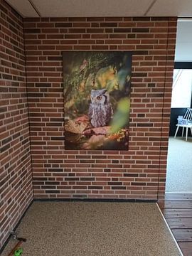Customer photo: Little Owl by By Angela