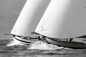 Duo in duel van ThomasVaer Tom Coehoorn