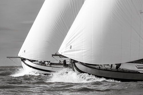 Duo in duel van ThomasVaer Tom Coehoorn