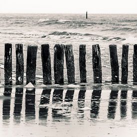 Beach - Netherlands by Stephan Zaun