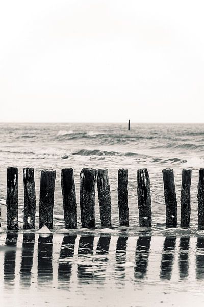 Strand - Niederlande von Stephan Zaun