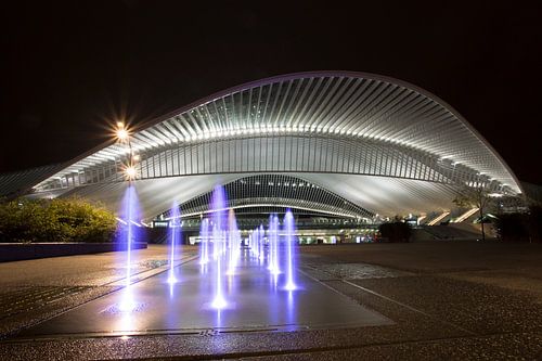 Station Guillemins bij nacht