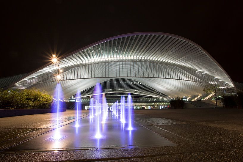 Station St- Guillemains par Patrick de Vleeschauwer
