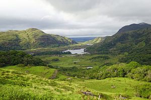 Ladies View, Ring of Kerry, Irland