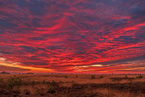 Sonnenuntergang Nationalpark Veluwe von Lisa Antoinette Photography