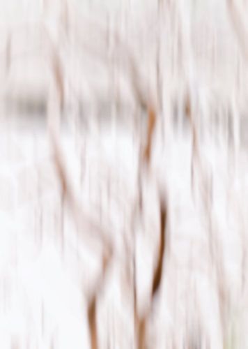 abstracte winter