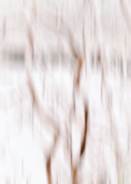 abstract winter by Karin van Bylevelt