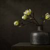 Nature morte moderne avec magnolia blanc sur Silvia Thiel