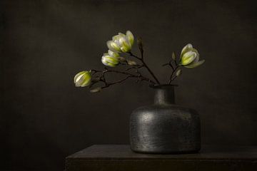Modern still life with white magnolia