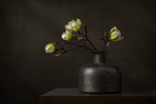 Modern still life with white magnolia by Silvia Thiel