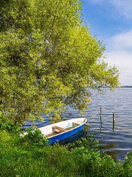 Gezicht op een boot en een boom in Zarrentin am Schaalsee