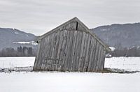 Schuur