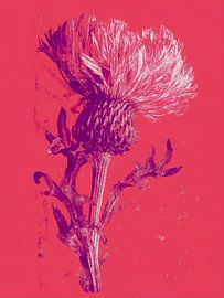 Modern botanisch distel in fel roze en paars