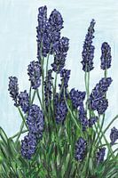 Lavender in summer