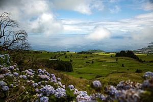 Les Açores en couches