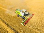 Maaidorser oogst tarwe in de zomer van bovenaf gezien van Sjoerd van der Wal Fotografie thumbnail