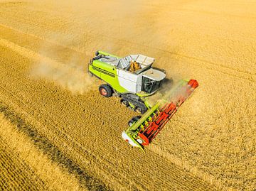 Combine harverster harvesting wheat during summer seen from above by Sjoerd van der Wal Photography