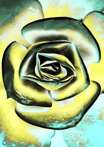 POPART VAN VETPLANTEN II-2