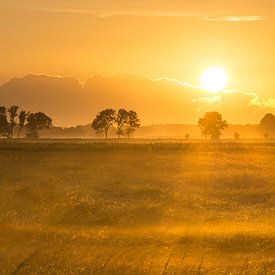 Zonsopgang in Groningen van Jasper van de Gronde